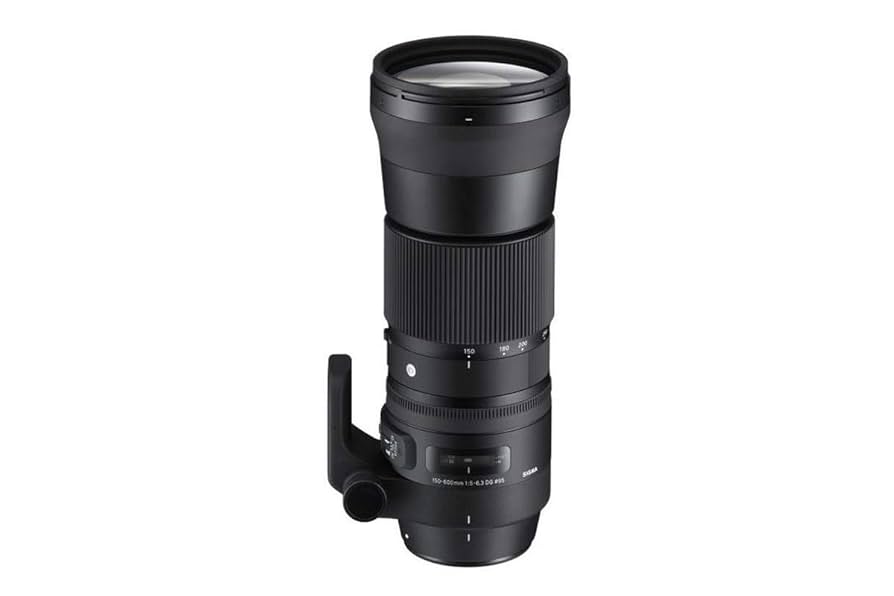 Sigma 150-600 F5-6.3 DG OS HSM ｜I260 Sigma Obiektyw 150-600 Mm F5,0-6,3 Dg Os Hsm Contemporary